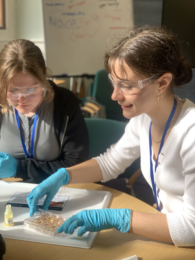 two students wearing lab gloves and examining some specimens