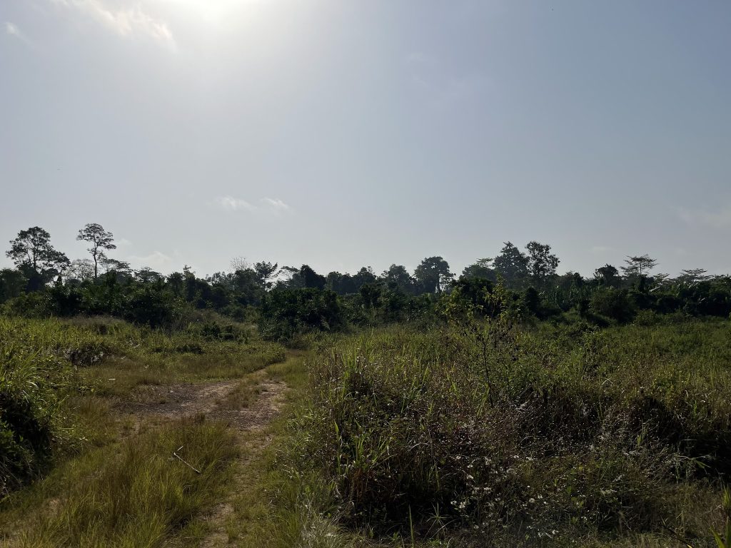 Land degradation in Kukurumtuni, Ghana caused by sand weaning